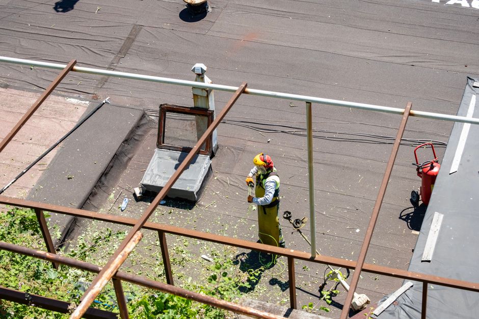 Dicas para manutenção de jardins em obras e construções: guia completo 2026