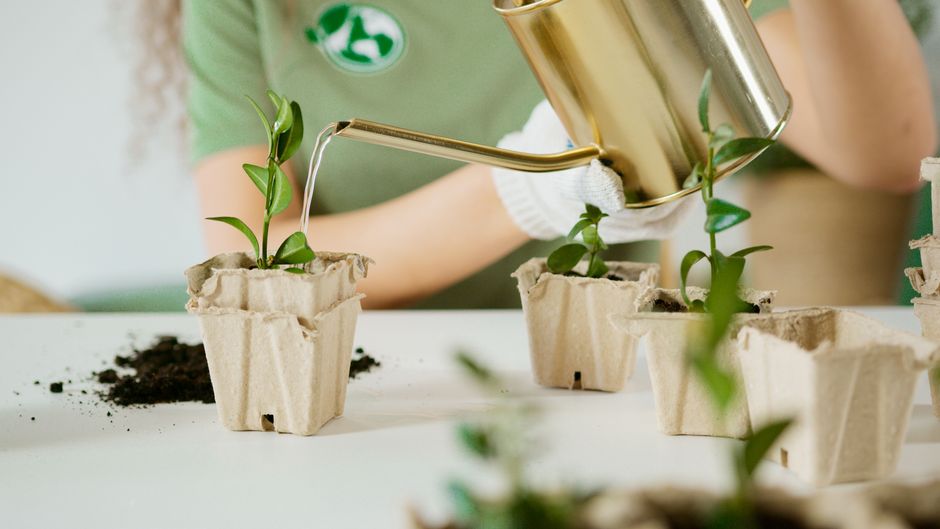 Pessoa cuidando de mudas de plantas em embalagens de papel, promovendo o cultivo sustentável e o cuidado ambiental.