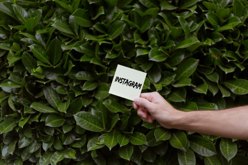 Pessoa segurando um bilhete com a palavra 'Instagram' diante de uma parede de folhas verdes, simbolizando presença nas redes sociais e marketing digital.