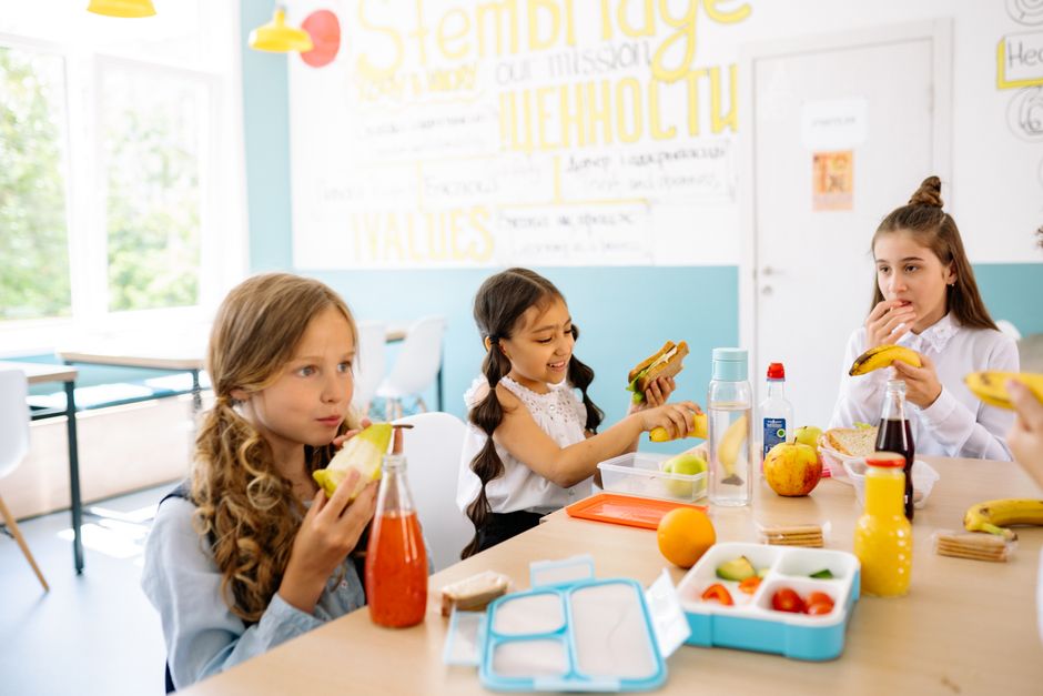 Como a alimentação influencia no desempenho escolar: Guia completo para 2026