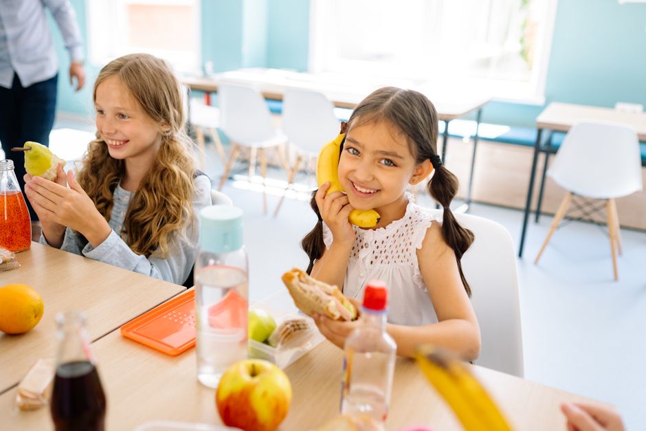 Dicas para organizar lanches rápidos e saudáveis para estudantes em 2026