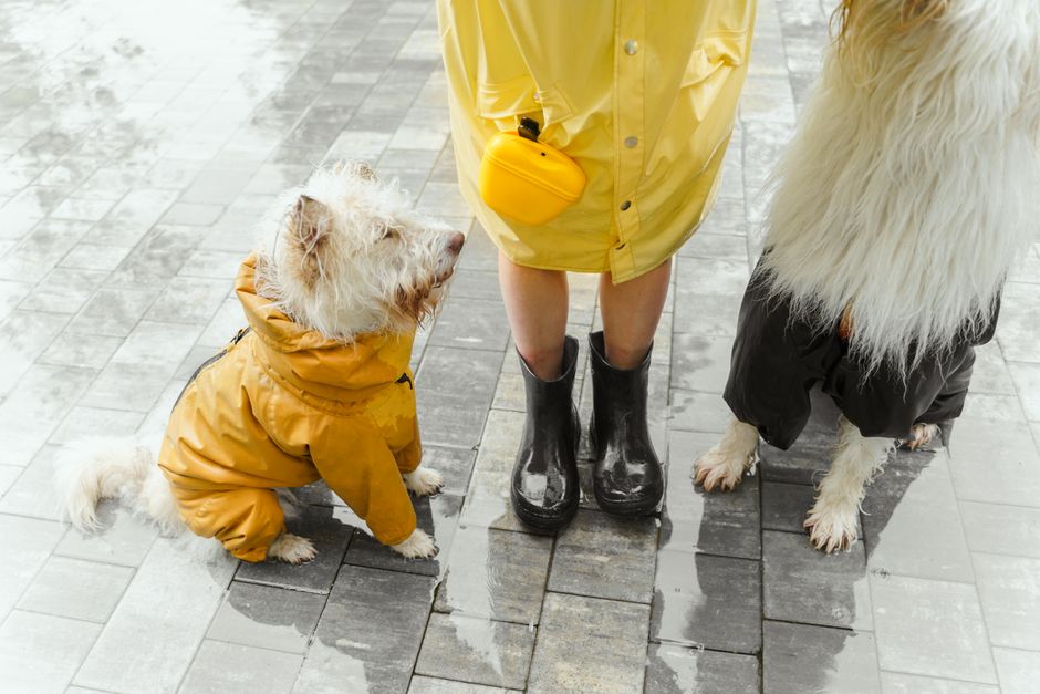 Como proteger roupas e estofados da água e manchas em 2026: Guia completo