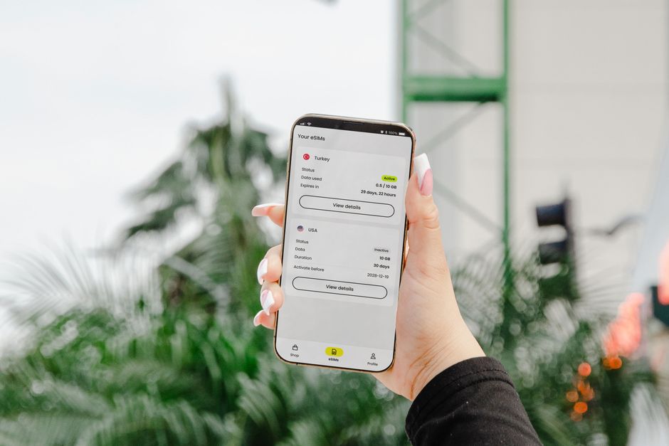Pessoa verificando o status de um serviço de internet móvel pelo smartphone em ambiente interno com plantas ao fundo.