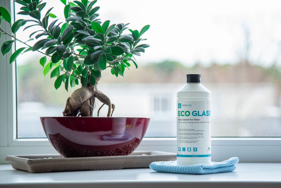 Imagem de uma planta em uma tigela grande junto a um produto de limpeza ecológico, sugerindo sustentabilidade e cuidados ambientais.