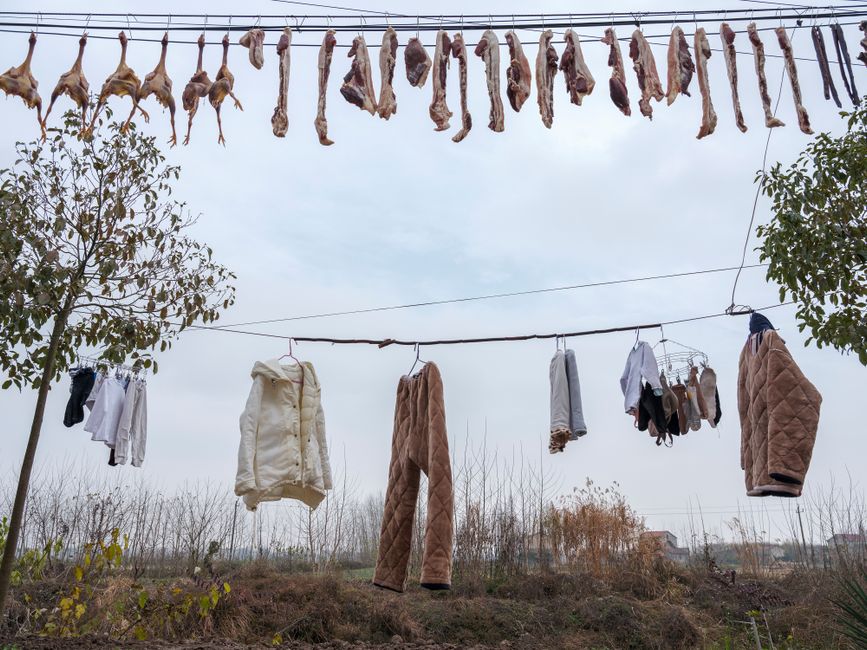 Dicas para conservar roupas e tecidos em casa: Guia completo 2026