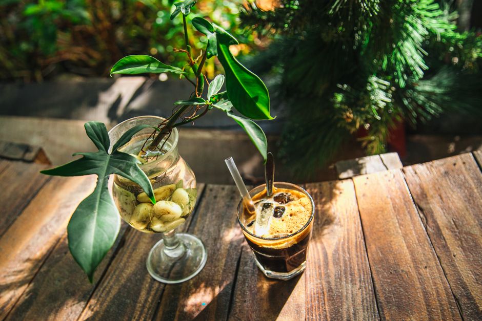 Vaso de café gelado e planta decorativa sobre uma mesa de madeira ao ar livre, combinando elementos naturais e urbanidade para um blog sobre cafés especiais e decoração de ambientes