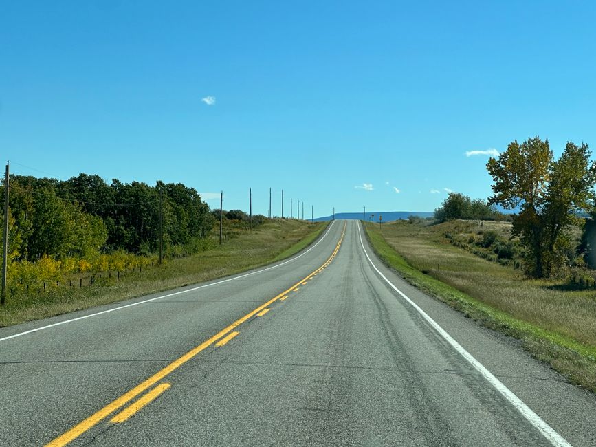 Dicas para motoristas manterem a saúde durante viagens longas em 2026