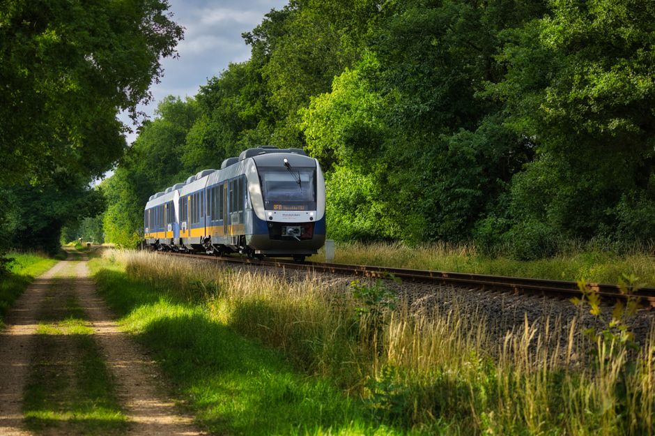 Como fazer carreira em turismo sustentável em 2026: guia completo para profissionais
