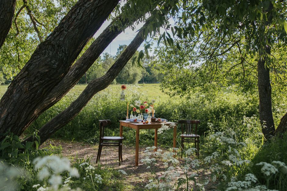 Mesa posta ao ar livre sob a sombra de árvores, ideal para um piquenique ou celebração informal na natureza.