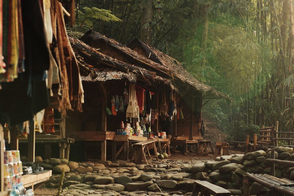 Dicas de Marketing para Ecoturismo: Estratégias Eficazes para 2026
