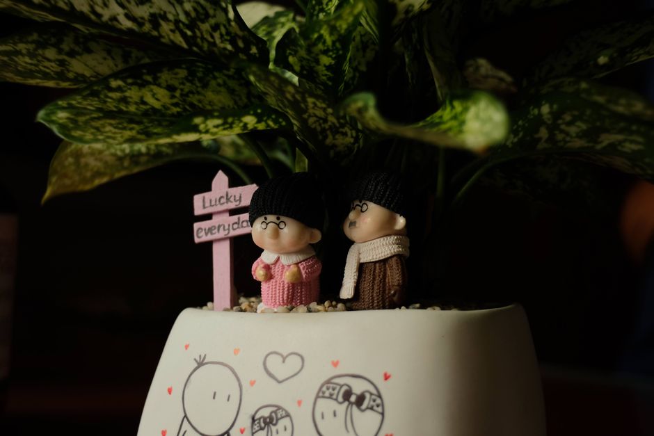 Figuras decorativas fofas de casais com roupas de inverno sob uma planta em um vaso, criando uma atmosfera aconchegante e acolhedora.