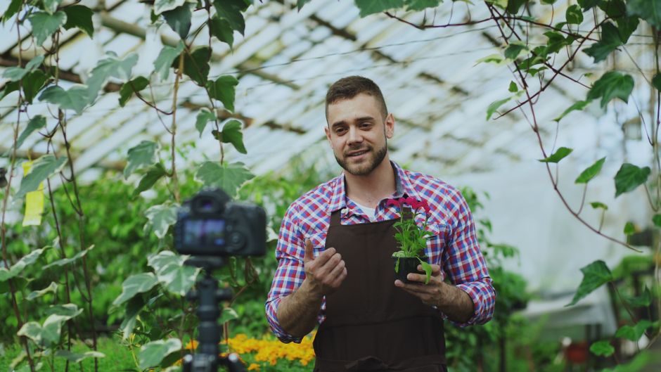Homem mostrando uma planta em um ambiente de estufa, possivelmente em um vídeo educacional ou tutorial de horticultura.