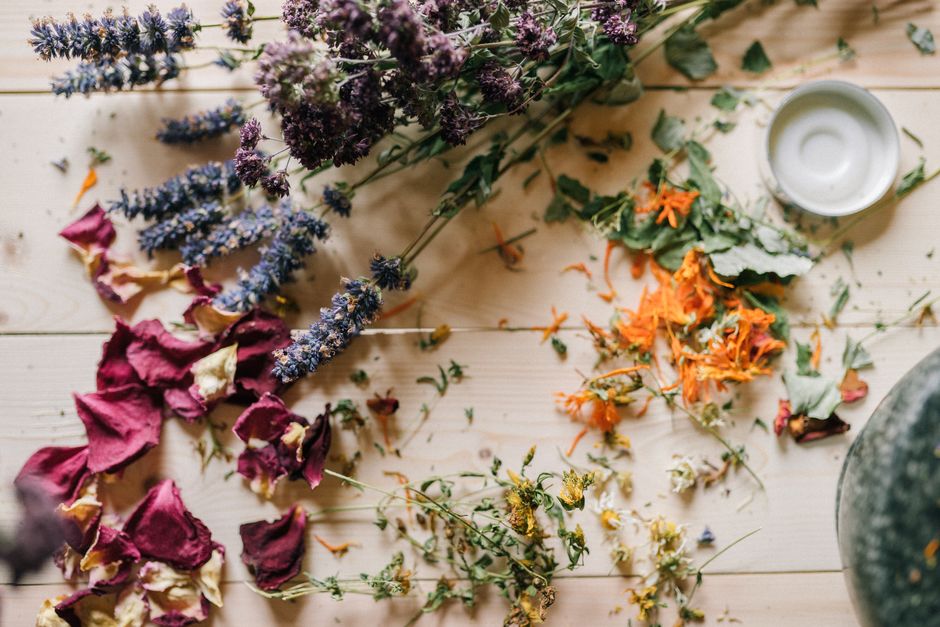Dicas de cuidados naturais para pele e plantas em casa em 2026: guia completo