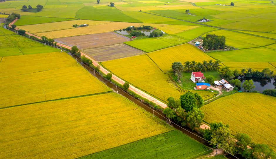 Como Recuperar Crédito Rural para Pequenos Negócios em 2026: Guia Completo