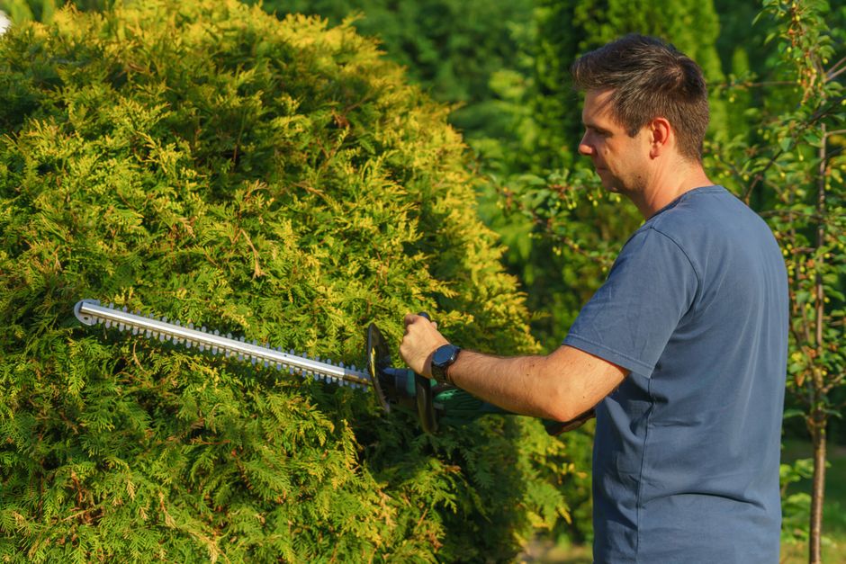 Melhores ferramentas elétricas para jardinagem em casa em 2026: guia completo