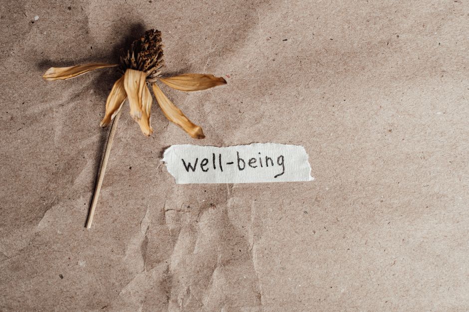 Imagem com uma flor seca ao lado de uma frase escrita à mão 'well-being' em destaque, simbolizando temas de bem-estar e reflexão.
