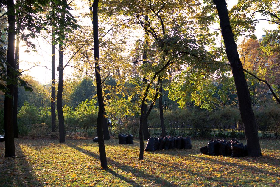 Cena de um parque com árvores e sacos de lixo espalhados, capturada ao entardecer, transmitindo uma sensação de natureza e organização do espaço ao ar livre.