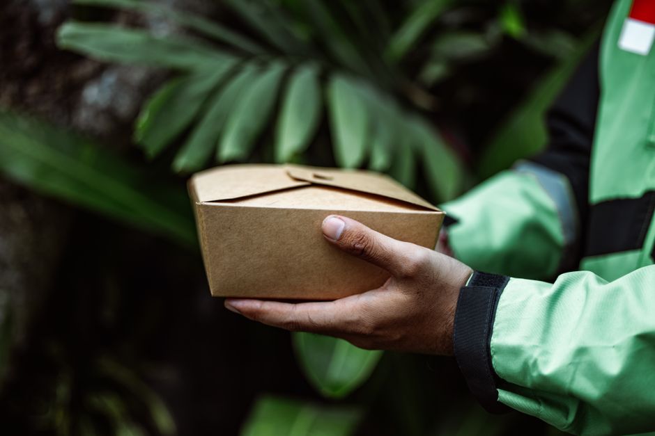 Pessoa segurando uma caixa de papelão em um ambiente natural, simbolizando entrega ou transporte sustentável.
