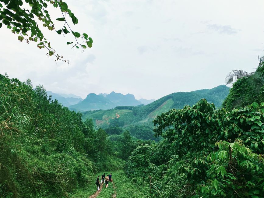 Paisagem exuberante de uma floresta montanhosa, destacando a conexão entre natureza e bem-estar ao ar livre.