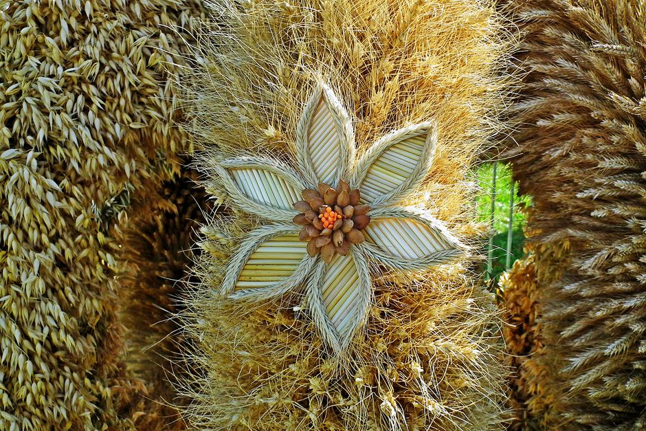 Imagem de uma planta de centeio decorada com uma flor artesanal feita de sementes e fibras naturais, destacando a criatividade na decoração agrícola.