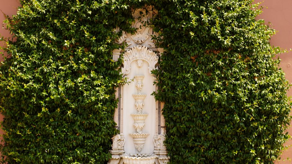 Imagem de uma fonte decorativa emoldurada por folhagens verdes, criando um ambiente interno ou externo com toque clássico e natural.