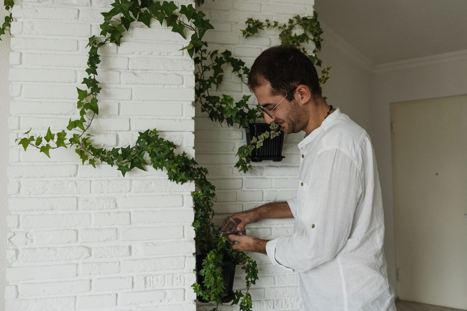 Melhores dicas para construir um jardim vertical em casa em 2026: guia completo
