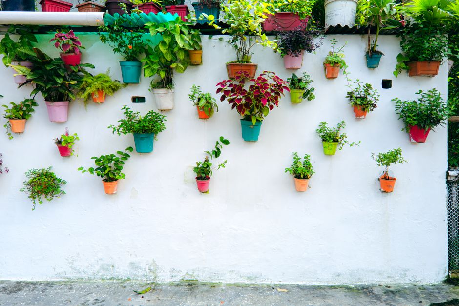 Parede decorada com vasos de plantas coloridos, criando um ambiente vibrante e natural ao ar livre.