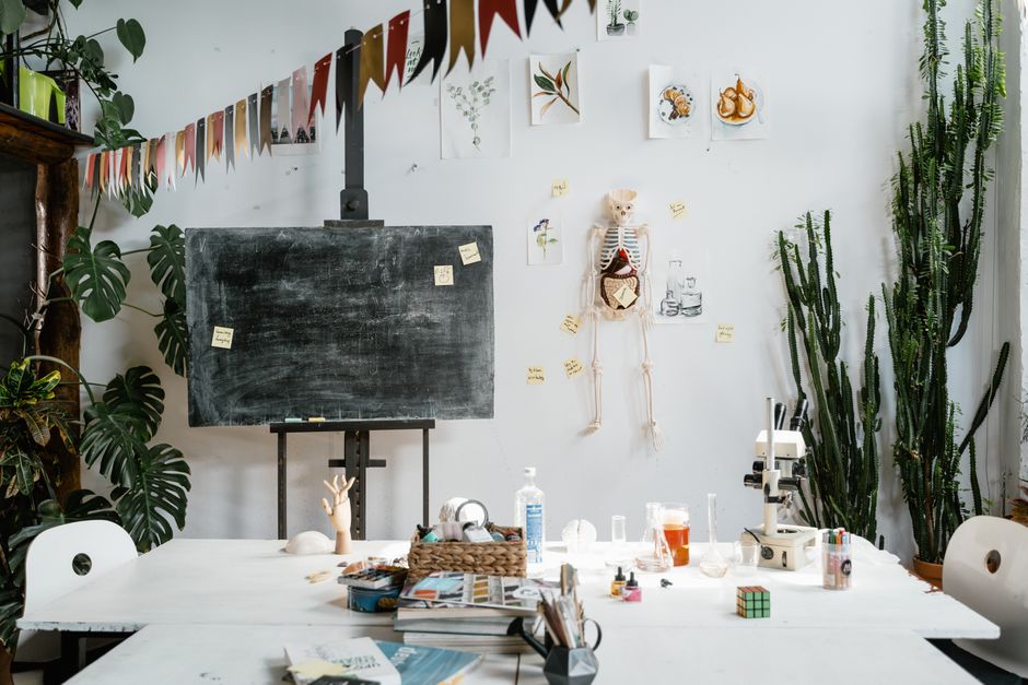 Dicas de como usar a floricultura na decoração de ambientes educacionais em 2026