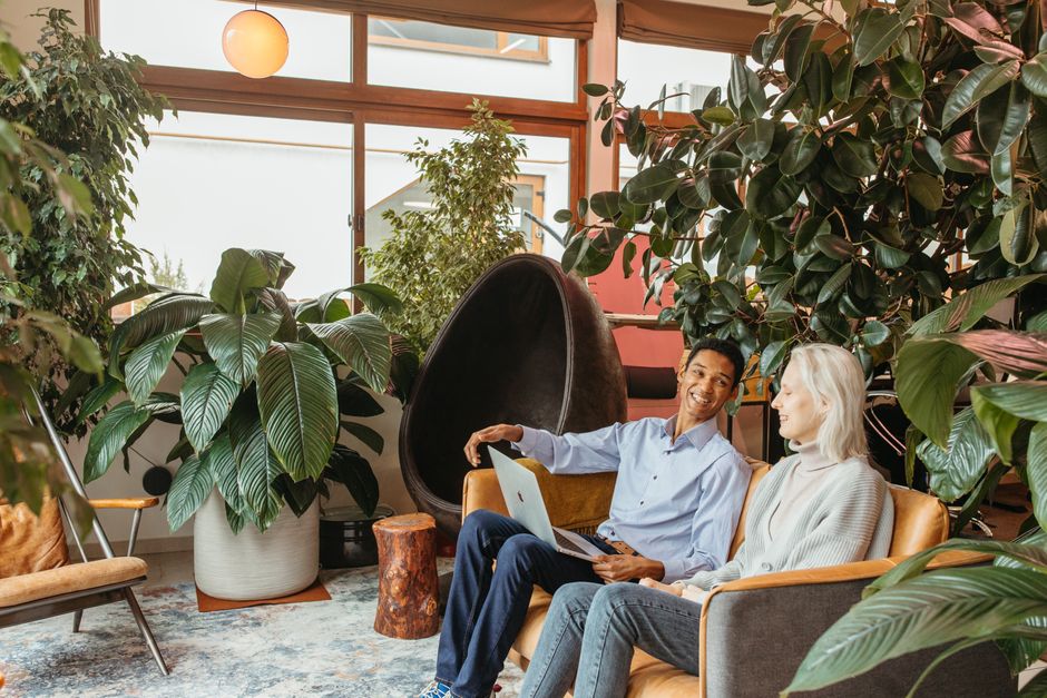 Dois jovens profissionais conversando e trabalhando em um ambiente moderno e aconchegante, rodeados de plantas e móveis contemporâneos.