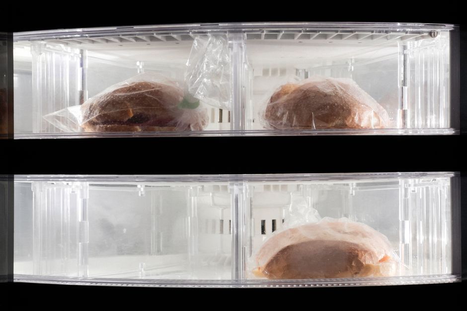 Melhores dicas para conservar alimentos em casa em 2026: guia completo