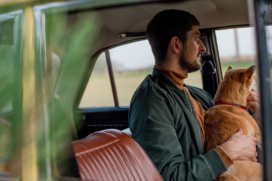 Homem com cachorro observando a paisagem pela janela do carro, transmitindo uma sensação de reflexão e conexão com a natureza.