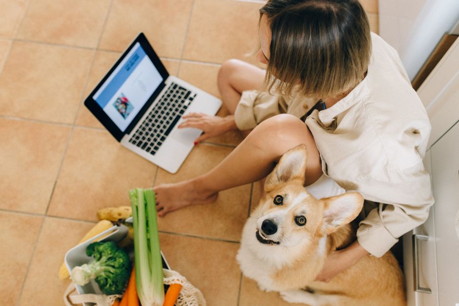 Imagem de uma criança sentada no chão com um cachorro, usando um laptop e uma sacola de compras cheia de verduras, ilustrando temas de rotina, bem-estar e conexão com animais de estimação.
