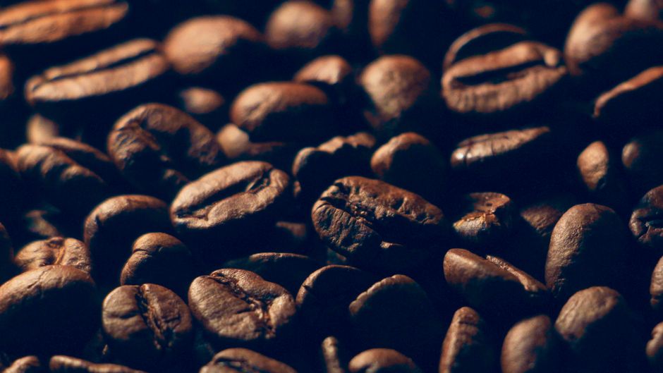Melhores Cafés Especiais para Experimentar em Casa em 2026: Guia Completo