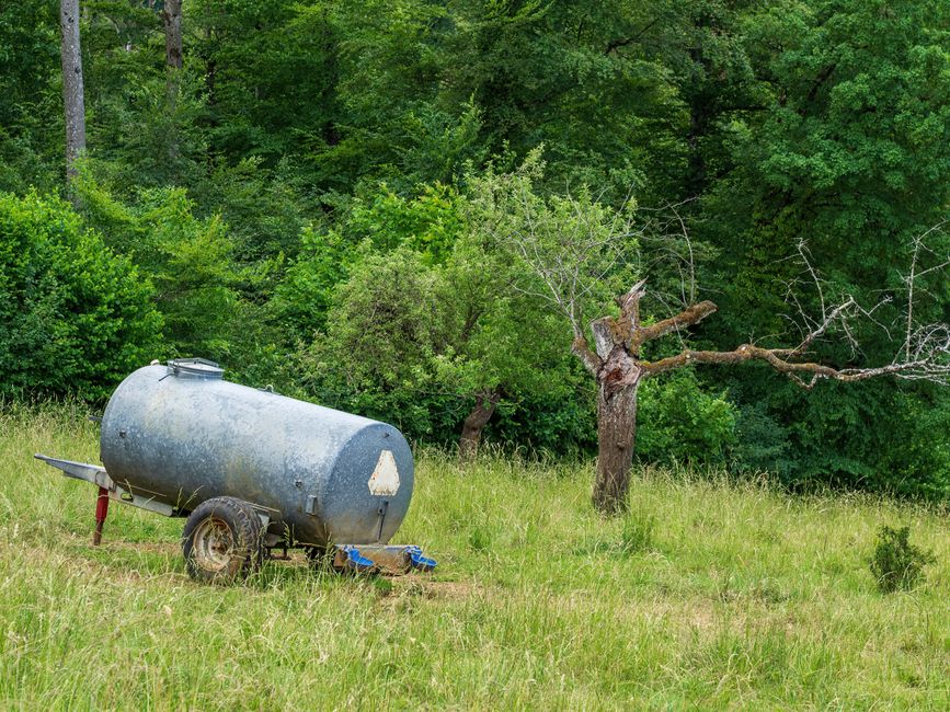 Imagem de um campo aberto com um filtro de água antigo e um árvore com galhos secos, rodeados por vegetação densa.