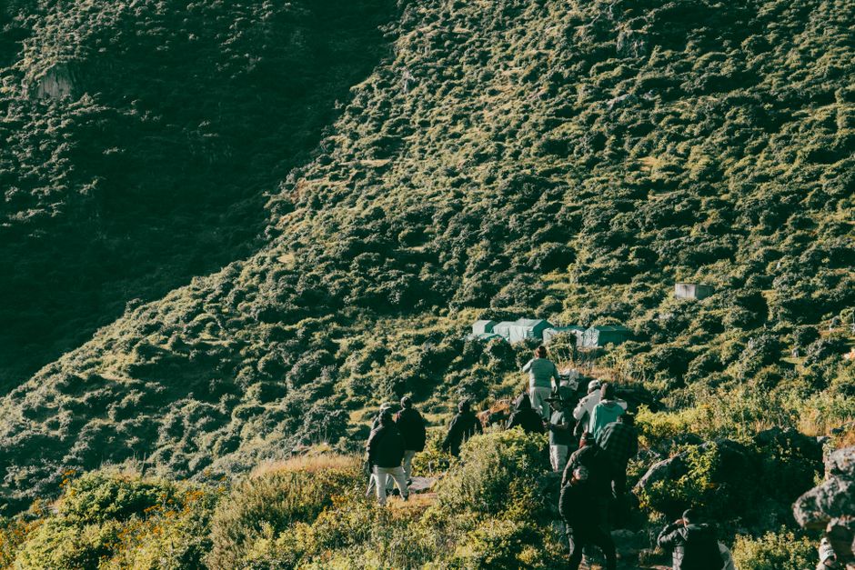 Melhores passeios de ecoturismo com paradas para sorveterias em 2026: guia completo