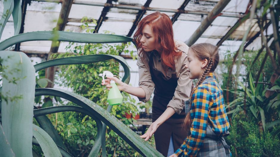 Mulher e criança cuidando de plantas em um ambiente de estufa ou jardim Botanico, promovendo educação ambiental