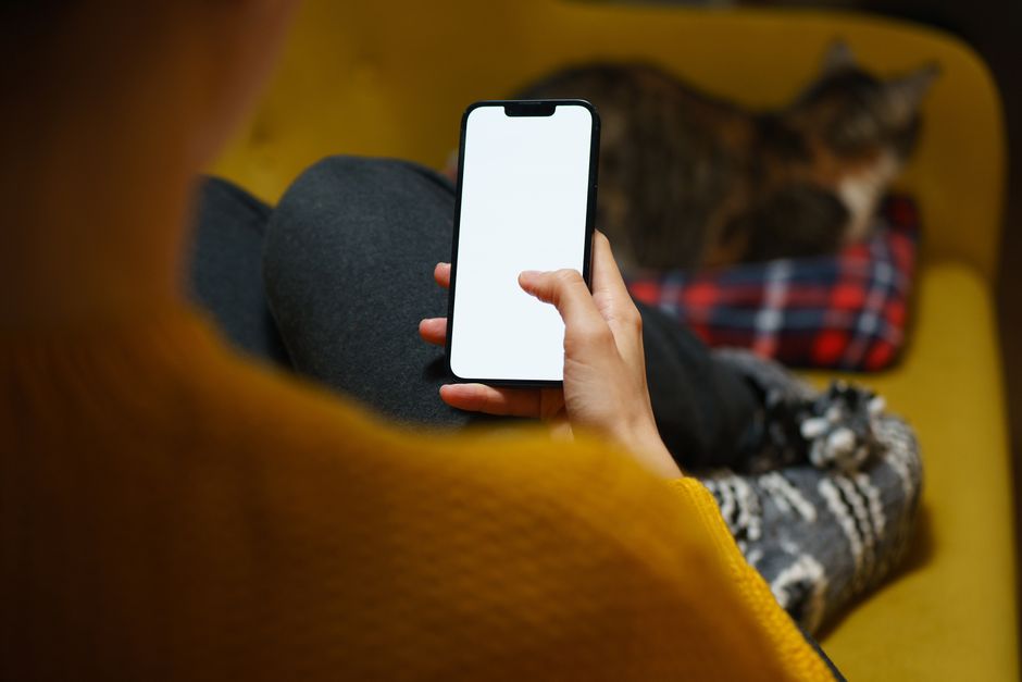 Melhores aplicativos para cuidar de pets em 2026: Guia completo para donos responsáveis