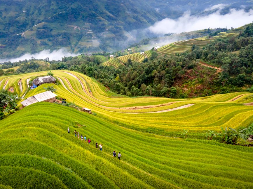 Paisagem de campos de arroz em terraços nas regiões montanhosas, com trechos de vegetação e nuvens ao fundo, refletindo a beleza rural e agrícola.