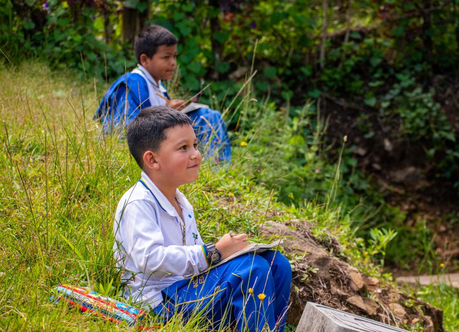 Crianças estudando ao ar livre em meio à natureza, explorando o ambiente enquanto aprendem.