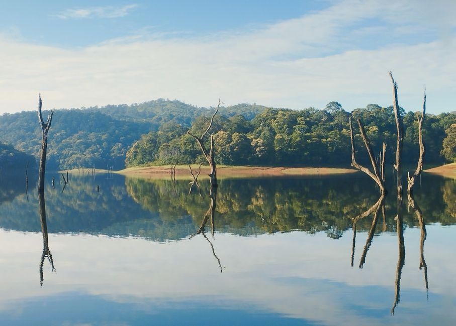Paisagem natural com lago, árvores secas e montanhas ao fundo, transmitindo tranquilidade e conexão com a natureza.