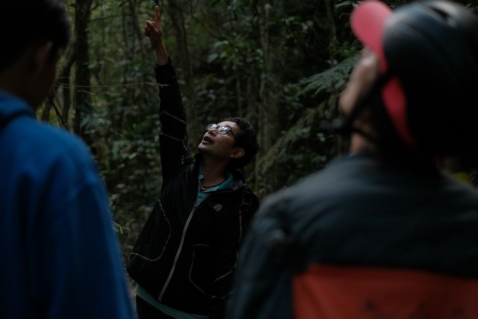 Pessoa explicando ou demonstrando algo importante ao grupo em uma caminhada pela floresta, destacando o tema de educação ambiental ou educação ao ar livre.