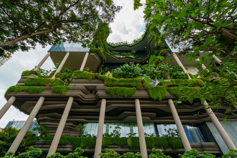 Edifício moderno com design sustentável integrado à natureza, com vegetação nas suas áreas externas e internas, promovendo harmonia entre arquitetura e meio ambiente.