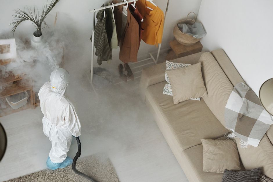Dicas para manter a casa limpa e livre de pragas em 2026: Guia completo