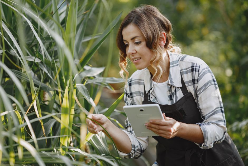 Mulher em ambiente externo, verificando plantas com tablet na mão, demonstrando práticas de agricultura inteligente ou monitoramento de cultivos.