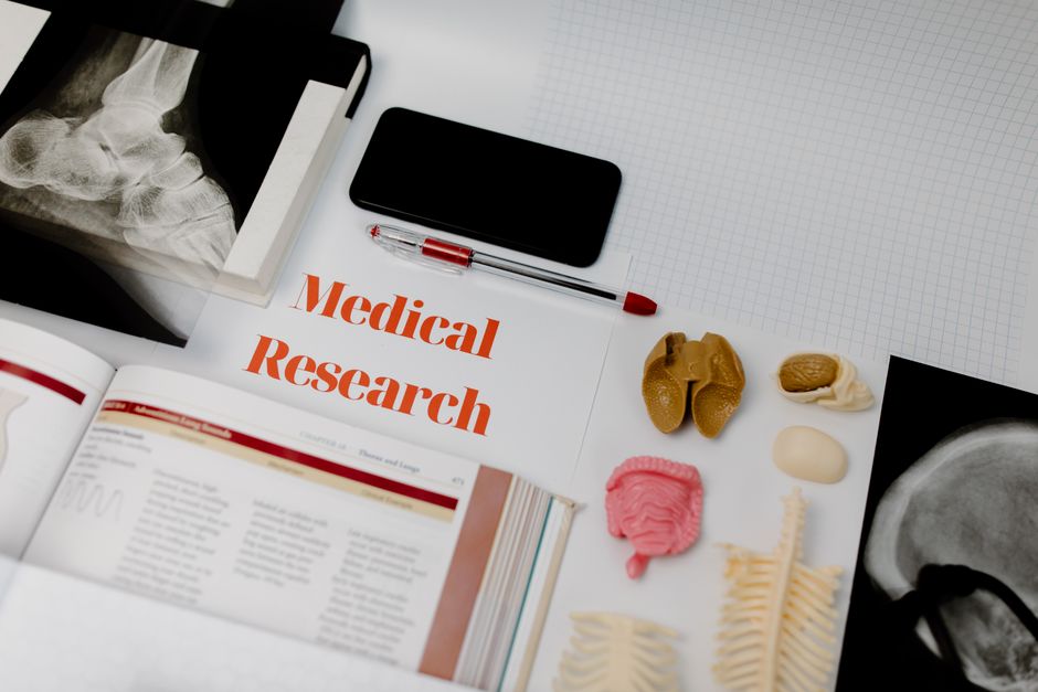 Estudo de pesquisa médica com modelos anatômicos e material de referência para artigos de saúde e medicina.