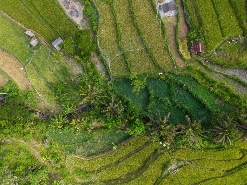 Melhores ferramentas para gestão de turismo sustentável em 2026: guia completo