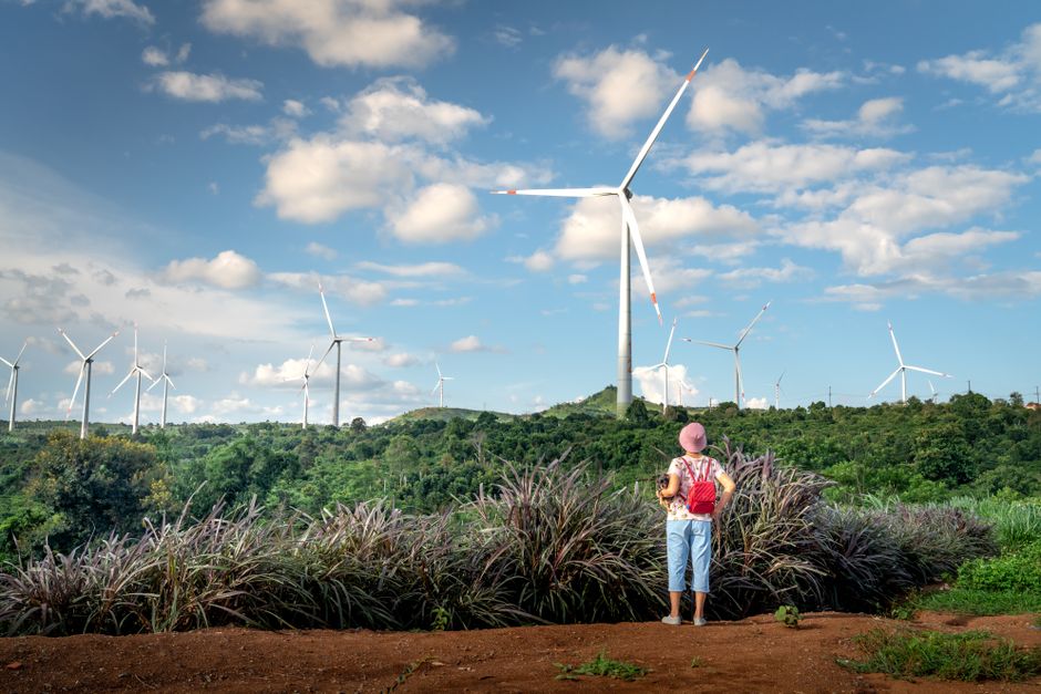 Pessoa observando parques eólicos em um ambiente natural, destacando a energia renovável e sustentabilidade.