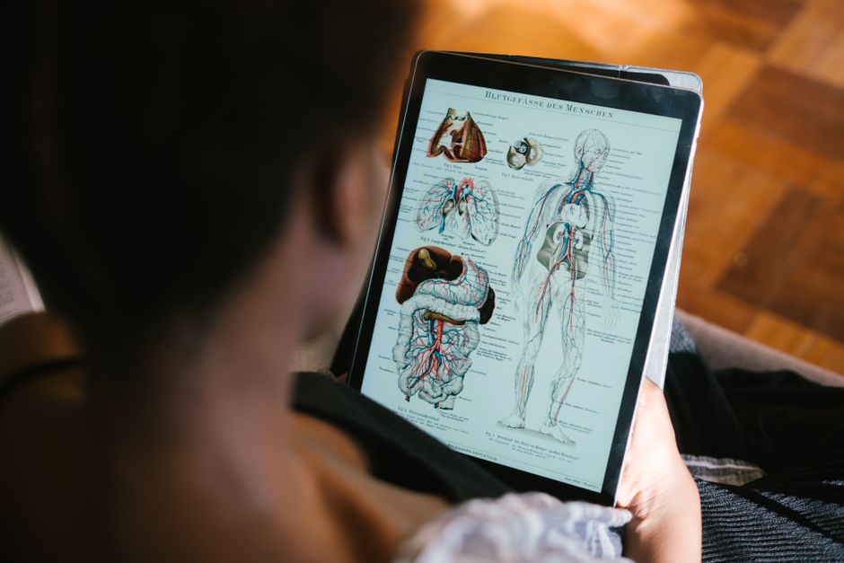 Pessoa estudando anatomia humana em um tablet, explorando os sistemas do corpo para fins educacionais ou de pesquisa.