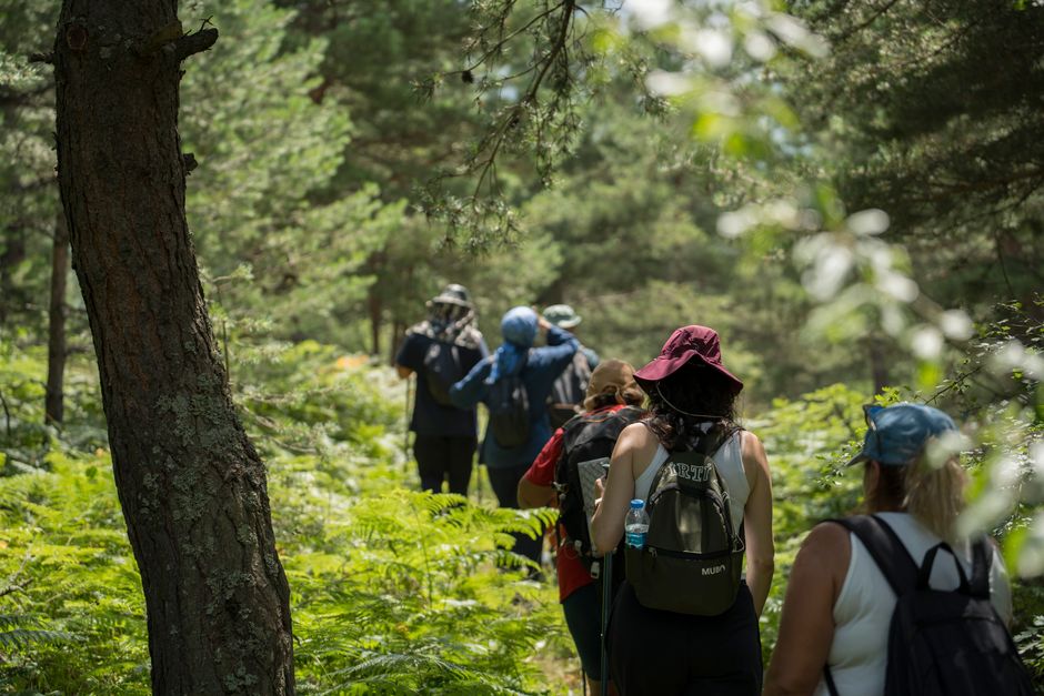 Grupo de pessoas fazendo trilha em uma floresta, explorando a natureza e curtindo uma aventura ao ar livre.