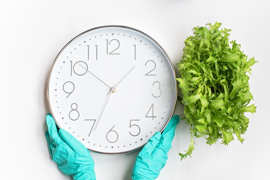 Pessoa com luvas de proteção segurando um relógio de parede ao lado de uma planta de alface, simbolizando o controle do tempo e a importância de ingredientes naturais em um contexto de sustentabilidade ou agricultura.